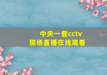 中央一套cctv现场直播在线观看