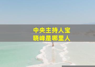 中央主持人宝晓峰是哪里人