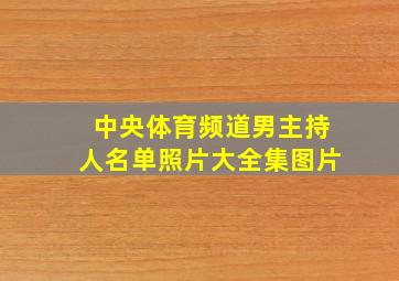 中央体育频道男主持人名单照片大全集图片