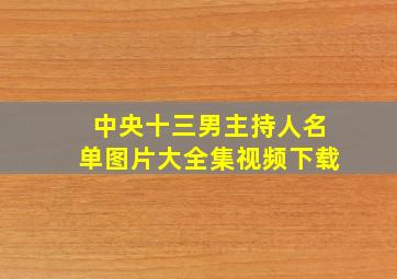 中央十三男主持人名单图片大全集视频下载