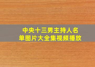 中央十三男主持人名单图片大全集视频播放