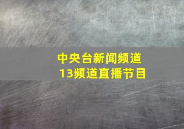 中央台新闻频道13频道直播节目