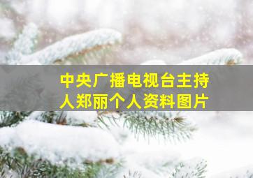 中央广播电视台主持人郑丽个人资料图片