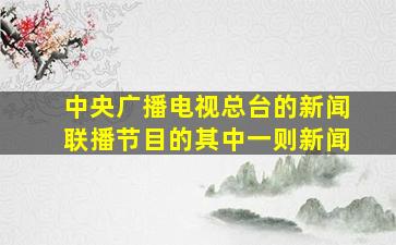 中央广播电视总台的新闻联播节目的其中一则新闻