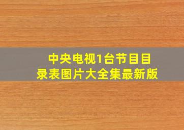 中央电视1台节目目录表图片大全集最新版