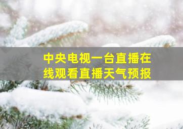 中央电视一台直播在线观看直播天气预报