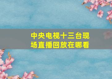 中央电视十三台现场直播回放在哪看