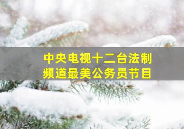 中央电视十二台法制频道最美公务员节目