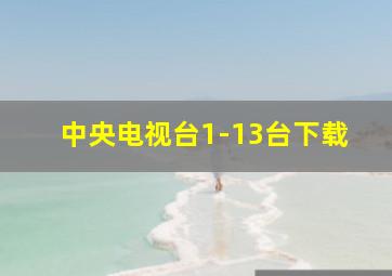 中央电视台1-13台下载