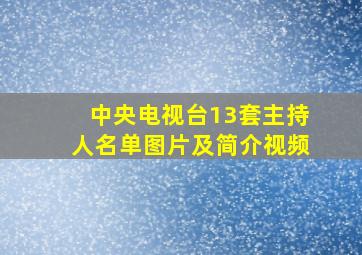 中央电视台13套主持人名单图片及简介视频