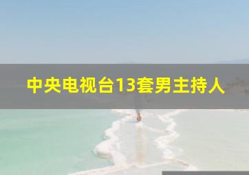 中央电视台13套男主持人