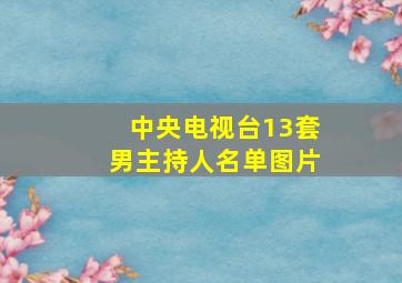 中央电视台13套男主持人名单图片