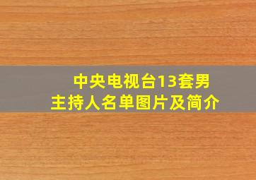 中央电视台13套男主持人名单图片及简介