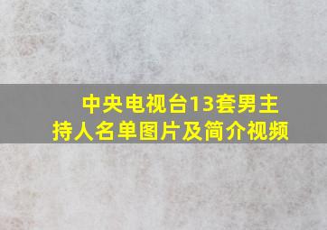 中央电视台13套男主持人名单图片及简介视频