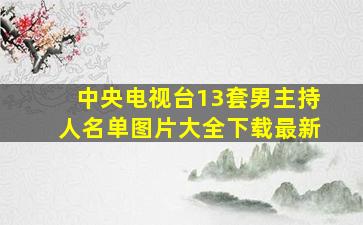 中央电视台13套男主持人名单图片大全下载最新