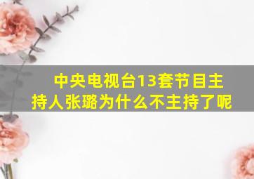 中央电视台13套节目主持人张璐为什么不主持了呢