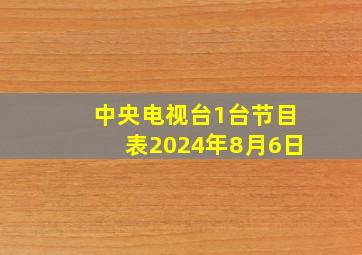 中央电视台1台节目表2024年8月6日