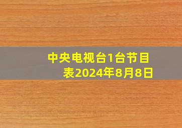 中央电视台1台节目表2024年8月8日