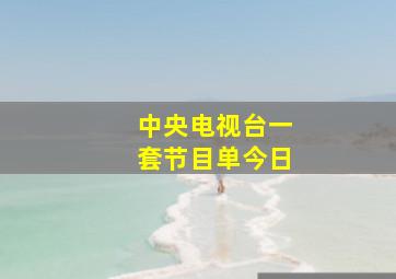 中央电视台一套节目单今日