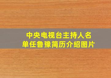 中央电视台主持人名单任鲁豫简历介绍图片