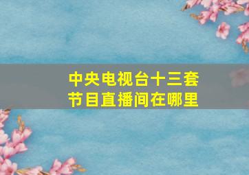 中央电视台十三套节目直播间在哪里