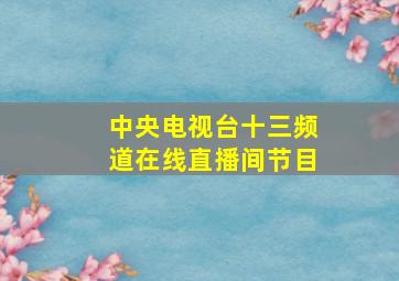 中央电视台十三频道在线直播间节目