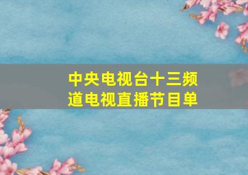 中央电视台十三频道电视直播节目单