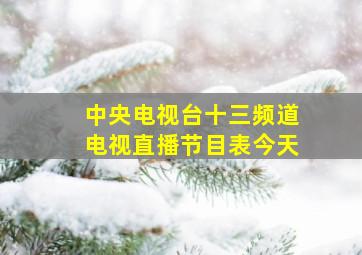 中央电视台十三频道电视直播节目表今天