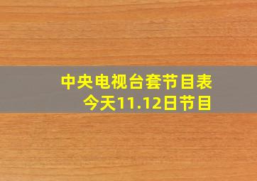 中央电视台套节目表今天11.12日节目