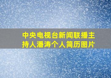 中央电视台新闻联播主持人潘涛个人简历图片