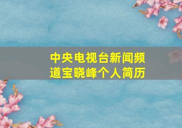 中央电视台新闻频道宝晓峰个人简历