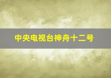 中央电视台神舟十二号