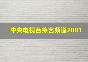 中央电视台综艺频道2001