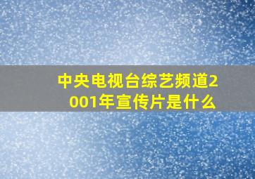 中央电视台综艺频道2001年宣传片是什么