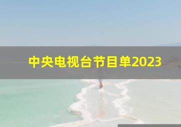 中央电视台节目单2023