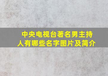 中央电视台著名男主持人有哪些名字图片及简介