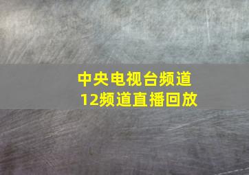 中央电视台频道12频道直播回放