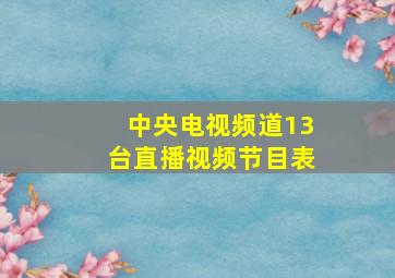 中央电视频道13台直播视频节目表