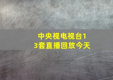 中央视电视台13套直播回放今天