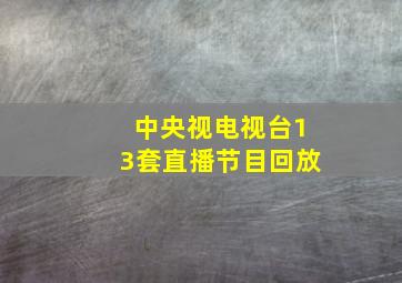 中央视电视台13套直播节目回放