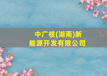 中广核(湖南)新能源开发有限公司