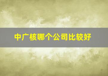 中广核哪个公司比较好