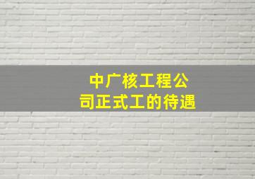 中广核工程公司正式工的待遇