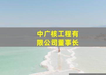 中广核工程有限公司董事长