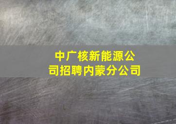 中广核新能源公司招聘内蒙分公司