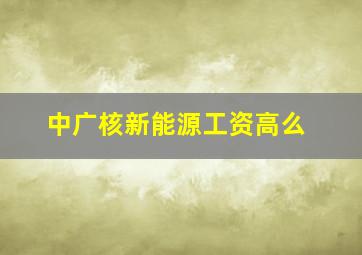 中广核新能源工资高么