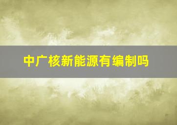 中广核新能源有编制吗