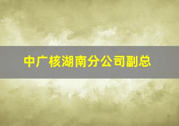 中广核湖南分公司副总