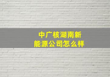 中广核湖南新能源公司怎么样