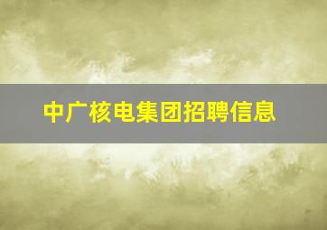 中广核电集团招聘信息